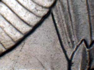 Stuart確認ページ Reverse Design Varieties